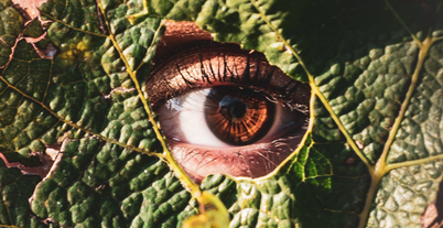 3 protegemos medio ambiente