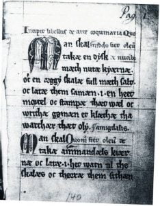 A page from the scandinavian recipe book "Libellus Art Coquinaria" (XIII-XIV Century).