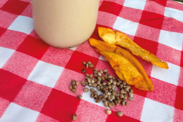 rice milk tigernut horchata