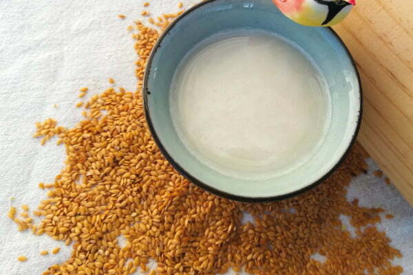 rice milk tigernut horchata