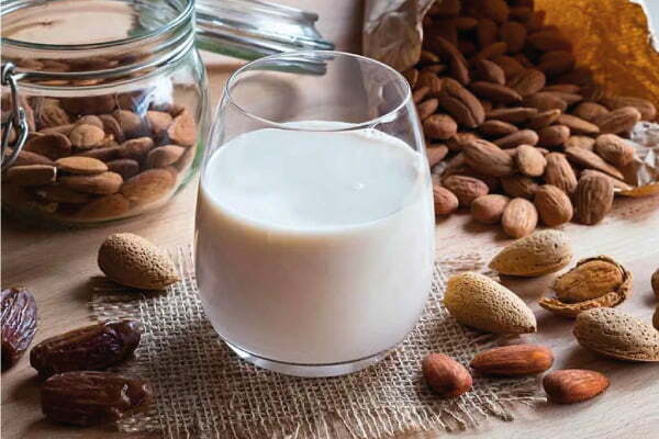 rice milk tigernut horchata