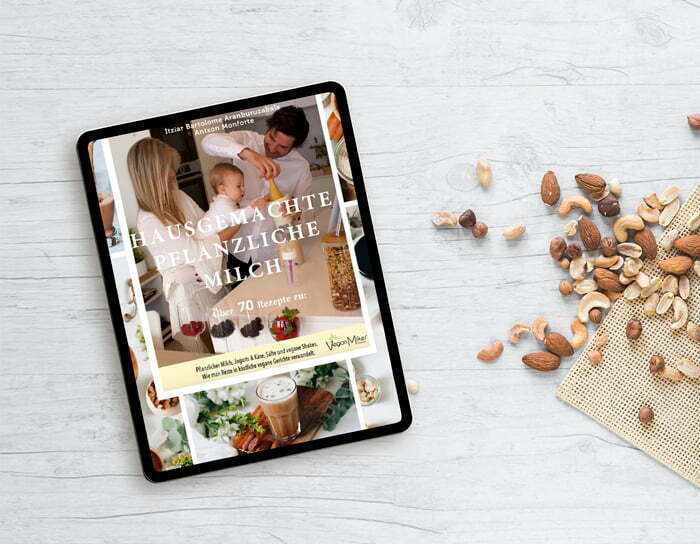 ebook-aleman homemade vegan milks ebook
