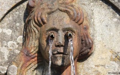 Fuentes públicas y agua “potable”